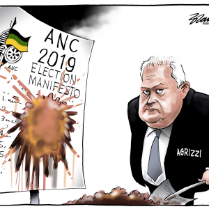 Agrizzi Spills The Beans  Editorial Cartoons by Brandan Reynolds