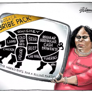 Business Day Bosasa Bribe Pack