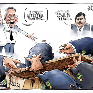 Sunday Times Editorial Cartoons by Brandan Reynolds The BOSASA State Capture revelations at the Zondo Commission hearings…