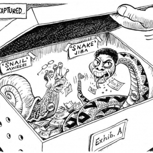 Zapiro Daily Maverick Forever Captured